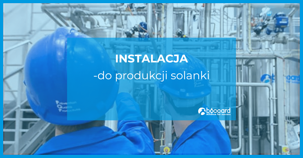 Produkcja solanek wykorzystywanych w produkcji serów w zakładzie Bel
